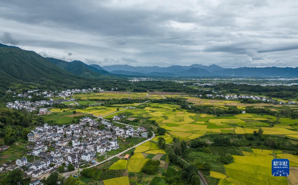 波克捕鱼可以提现吗